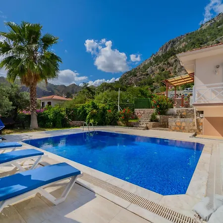 Badem - Goecek フェティエ